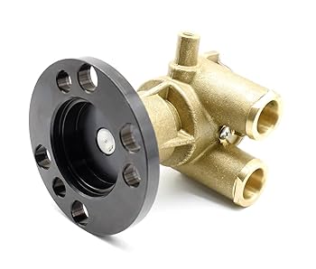 Amazon.com: F6B-9 Water Pump for Volvo Penta 3860703 856513